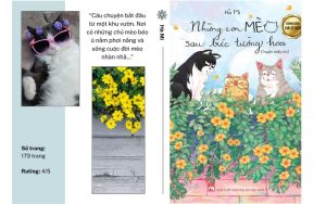 [Review sách] Những con mèo sau bức tường hoa của Hà Mi