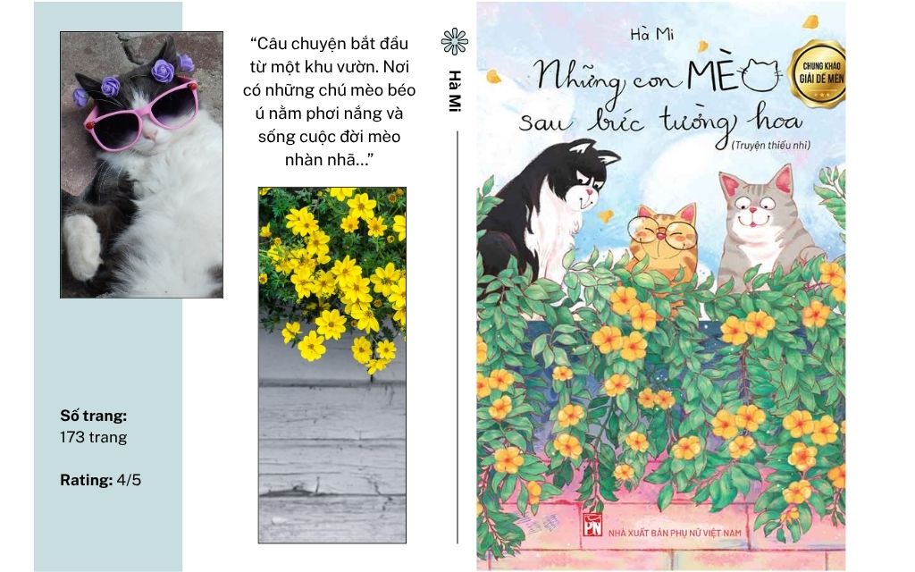 [Review sách] Những con mèo sau bức tường hoa của Hà Mi